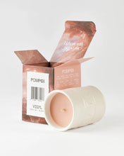 Load image into Gallery viewer, Vigyl Pompeii Candle