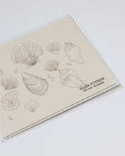Load image into Gallery viewer, Sumner Lane Shell Greeting Card