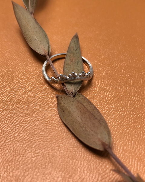 hunt of hounds ring