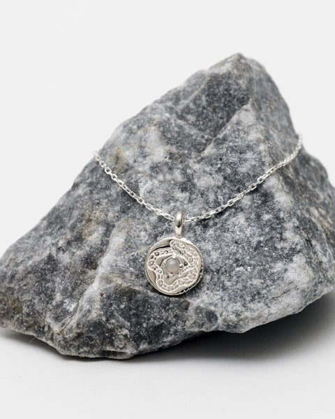Hunt of Hounds Without End Necklace in Silver draped over a rock