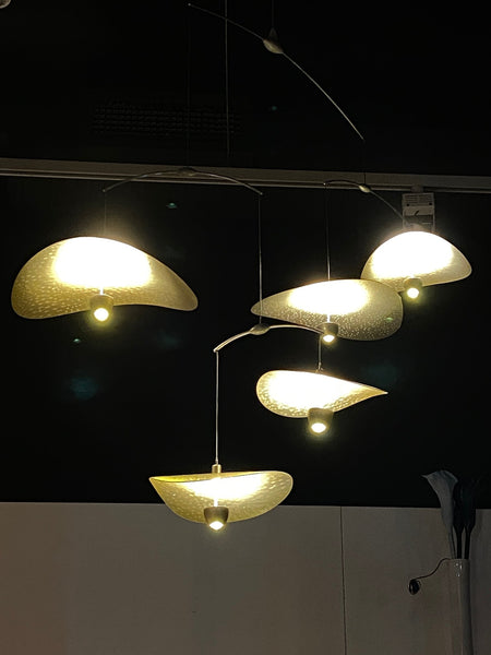 Artist in Residence: Umbra & Lux