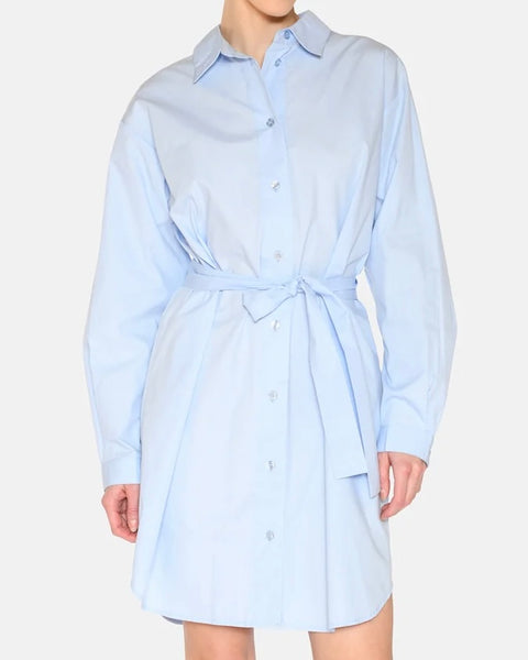 Minimum Women's Hannah Shirt Dress in Eucalyptus