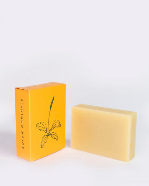 the ALTR Plantago Major Bar Soap sitting against a neutral background beside its box