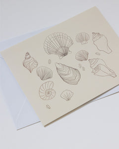 Sumner Lane Shell Greeting Card