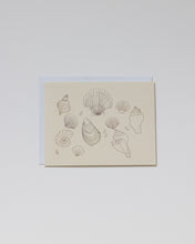 Load image into Gallery viewer, Sumner Lane Shell Greeting Card
