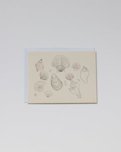 Sumner Lane Shell Greeting Card