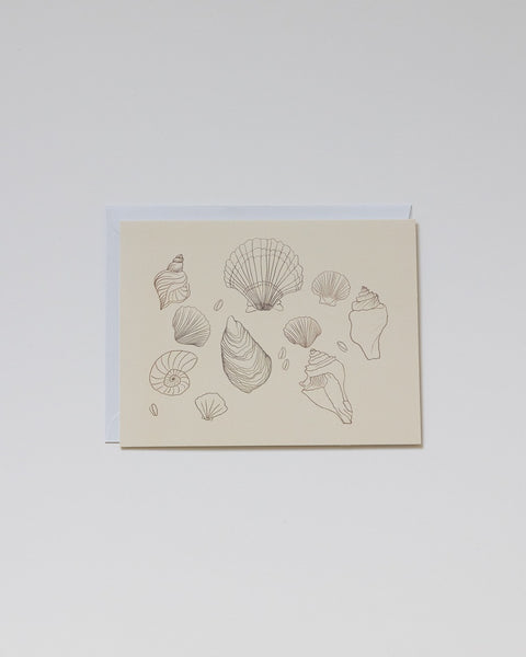 Sumner Lane Shell Greeting Card